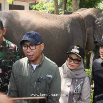 image Wakil Ketua DPRD Prov Lampung, Naldi Rinara Soroti HGU PT SGC: Dukung Negara Berikan Kepastian Hukum